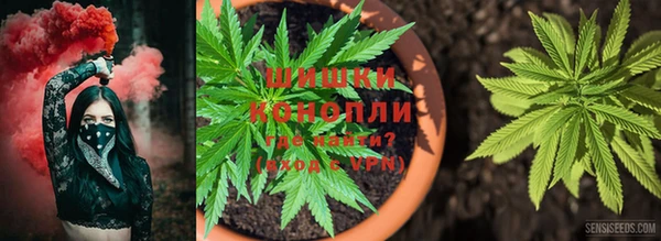 каннабис Приозерск
