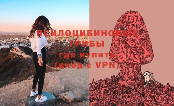 ешки Протвино