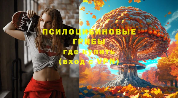 ALPHA PVP Пролетарск