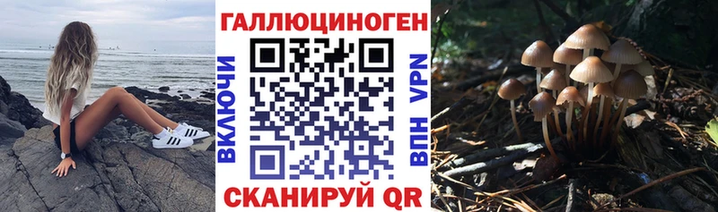 Псилоцибиновые грибы прущие грибы  что такое   Зеленокумск 